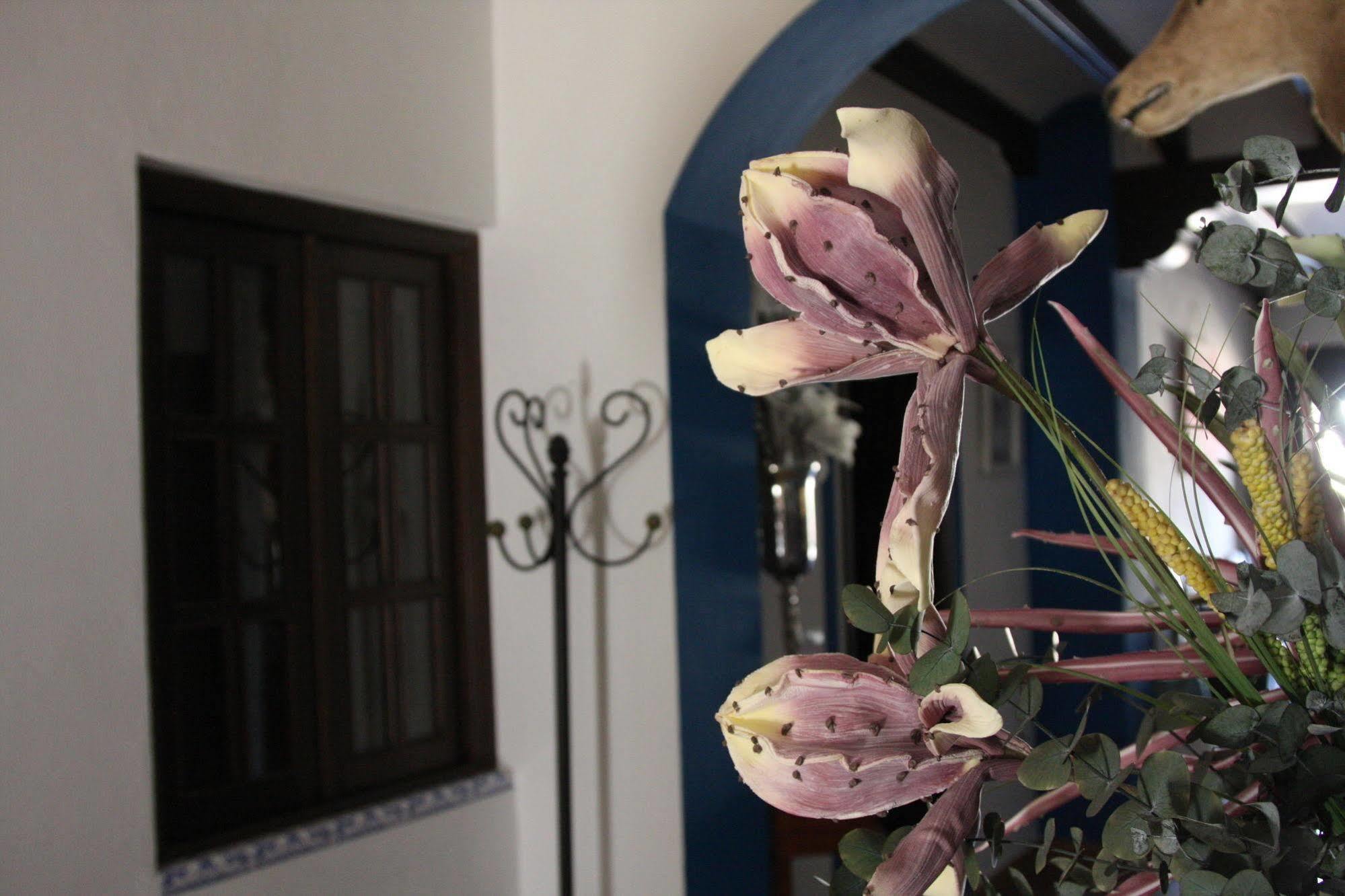 Casa Rural El Sombrero El Rocío Екстериор снимка